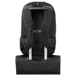 American Tourister Work-E - Laptoprucksack 17.3'' 47.5 Cm 13 American Tourister Work-E - Laptoprucksack 17.3'' 47.5 Cm -Deuter Verkäufe 2025 American Tourister Work E Laptoprucksack 17 3 039 039 47 5 cm black 138223 1041 6