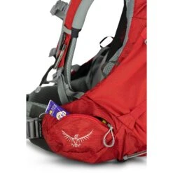 Osprey Ariel Plus 60 Women - Trekkingrucksack XS/S 74 Cm -Deuter Verkäufe 2025 Osprey Ariel Plus 60 W Trekkingrucksack mit Regenh lle WXS S 74 cm carnelian red 10002914 7